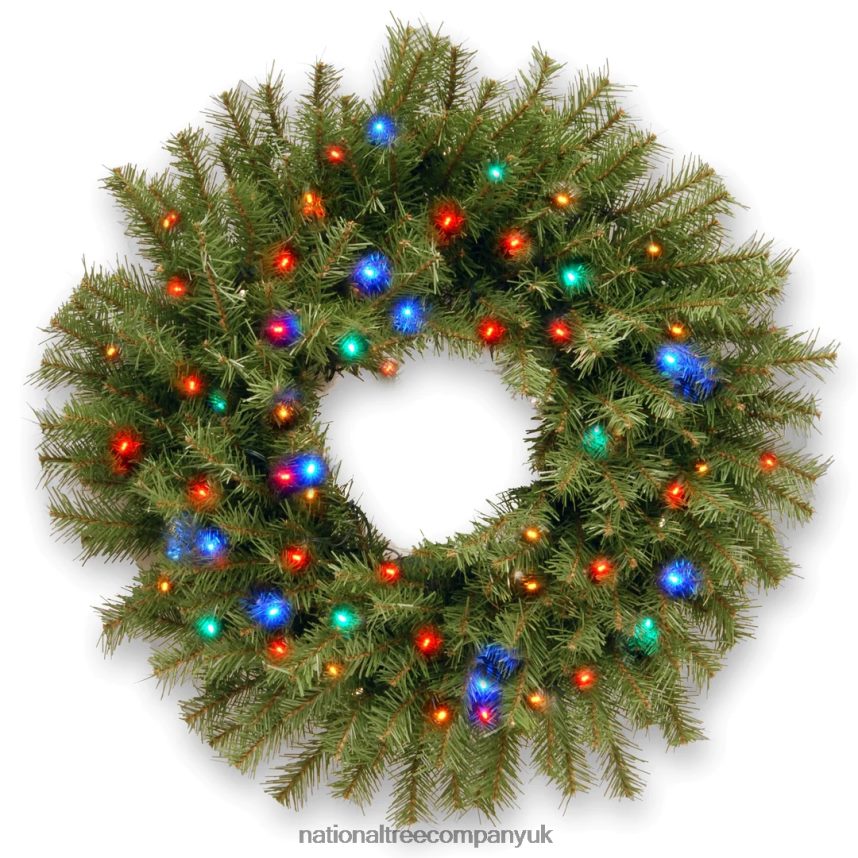 Greenery | National Tree Company Pre-Lit Artificial Christmas Wreath Green Norwood Fir Multicolor Lights Christmas Collection 24 Inches F2L4F237